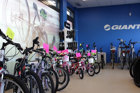 Speedybike Store