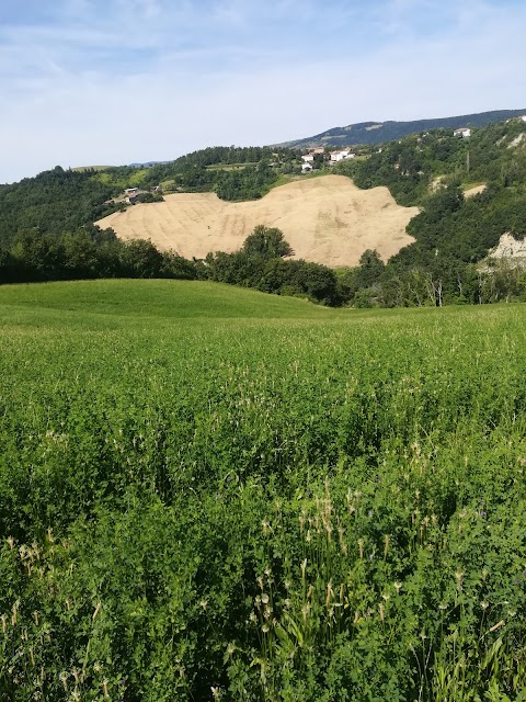 Agriturismo Ca' Monti