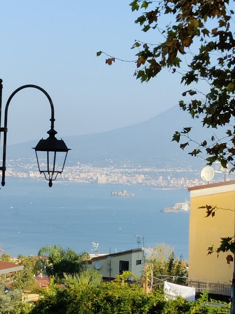 Museo Archeologico Stabiano - Reggia di Quisisana