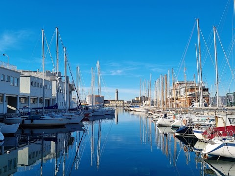 Triestina della Vela