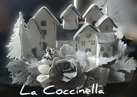 La coccinella di Romana Montagner