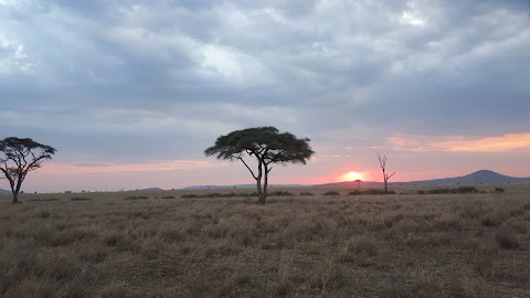 TERRITORI Africa