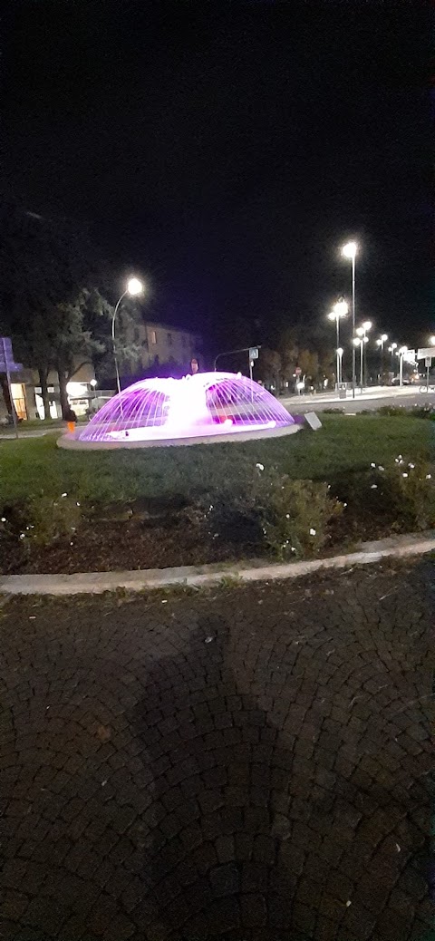 Taxi Vigevano