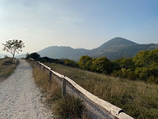 Sede Parco Regionale dei Colli Euganei