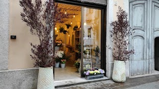 ArtemisiA Fiori e Piante | Eventi | Wedding planner | Bomboniere | Oggettistica