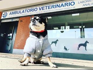 Ambulatorio Veterinario Dott.ssa Premoselli