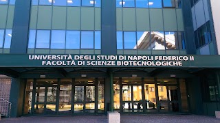 CNR • Istituto di Biostrutture e Bioimmagini