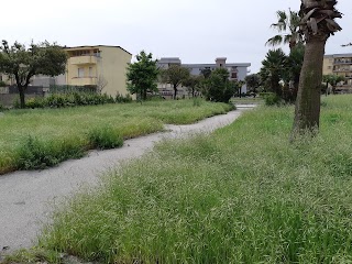 Parco pubblico