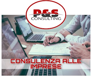 PISCOPO CONSULTING