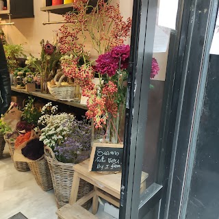 Frida's Torino Mazzini - Italian Flower Stores - Fiori