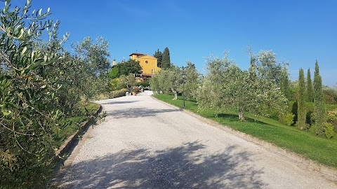 Villa Il Petriccio