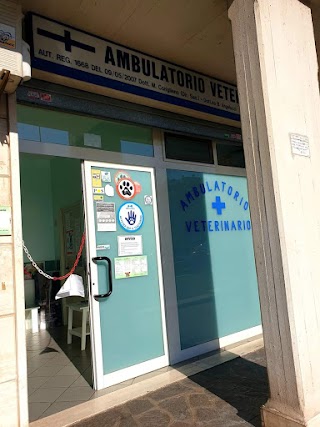 Ambulatorio Veterinario Ponte di Nona