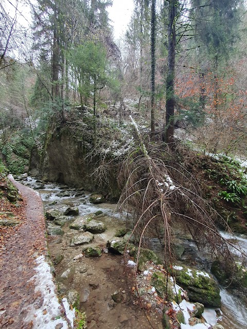 Cascata del Gorg d'Abiss