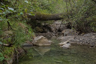 Cascata termale del Carlone