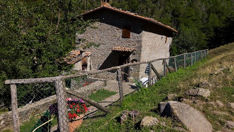 Azienda Agrituristica La Grecchia