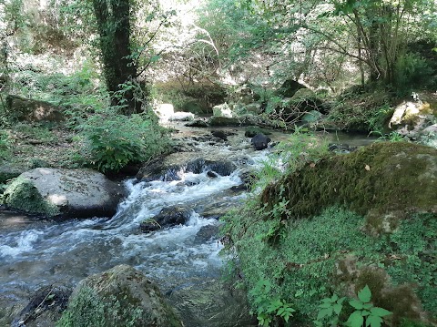 Cascate di Monte Gelato