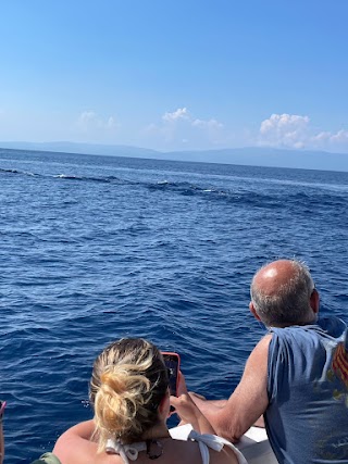 Golfo Paradiso/ Whale Watching