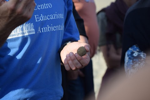 CEA - Centro di Educazione Ambientale, Riserva Litorale Romano