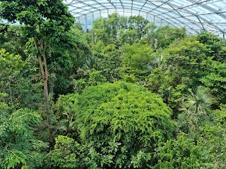 Giardino zoologico di Zurigo