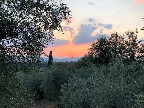 Fattoria di Mandri