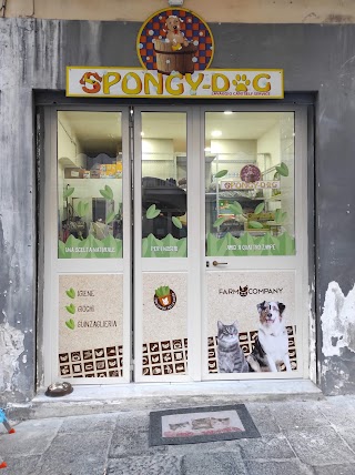 Spongy-dog