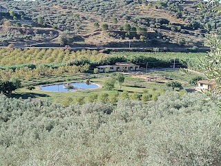 Tenuta Bartoli Maison de Charme