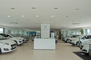 Auto P s.r.l. Concessionaria Ufficiale DR EVO Centro Riparazioni Peugeot