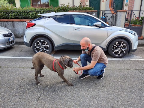 Baldi Stefano Ambulatorio Veterinario