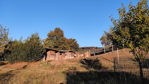 Agriturismo La Pieve