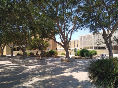 Università di Malta