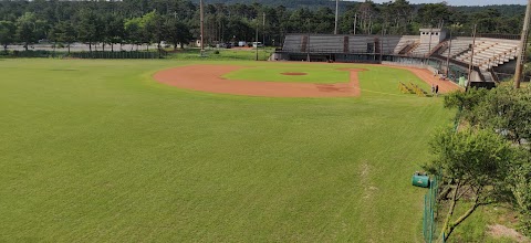 Stadio di Prosecco Junior Alpina baseball