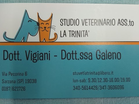 Ambulatorio Veterinario La Trinità Dott.ri Vigiani - Galeno