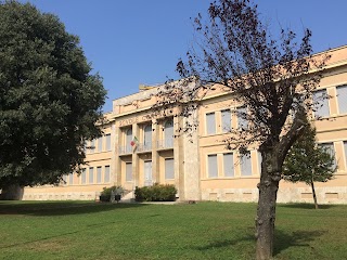 Scuola Primaria Statale