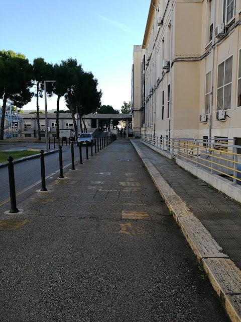 Policlinico di Bari