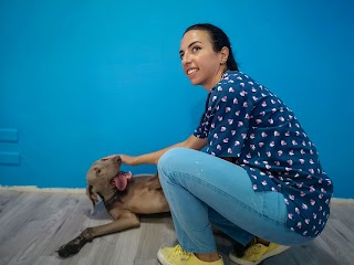 Veterinario Taormina - Roberta Chillemi