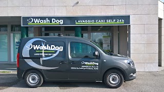 Toelettatura Wash Dog Ravenna , lavaggio self-service e servizio a domicilio