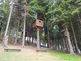 Bosco Avventura della Panoramica Zegna