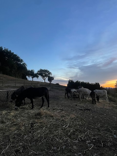 Ca di Luna - Asineria & Agricoltura Sociale