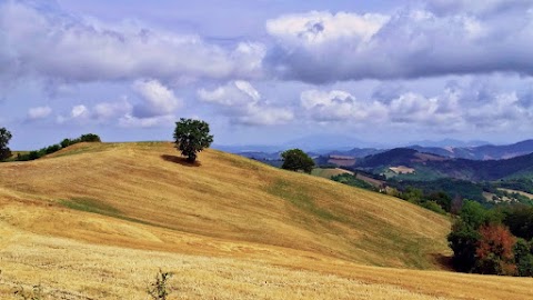 Il Ponticello Trekking Viaggi