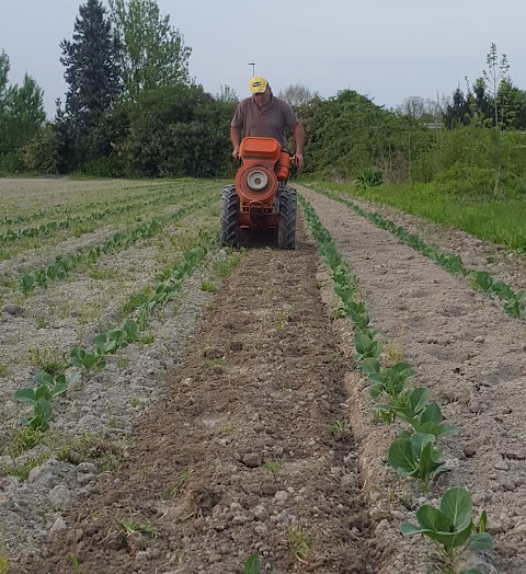 Azienda Agricola Quaggio Claudio