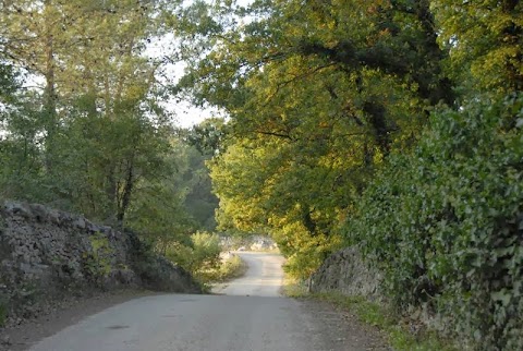 Trulli del Bosco