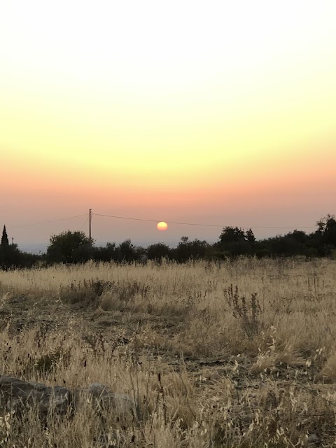 Poggio del Gallo