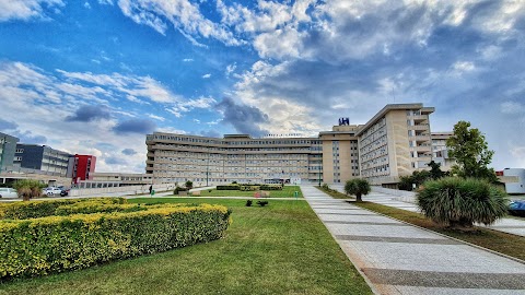 Ospedale "Vito Fazzi"