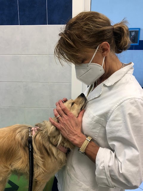 Ambulatorio Veterinario Rioveggio Di Roberta Cossovi