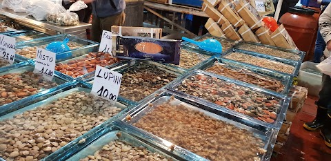 Mercato Ittico di Pozzuoli