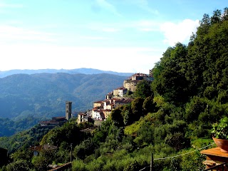 Casa Verde Holiday Accommodation - Tuscany near Florence, Lucca & Pisa