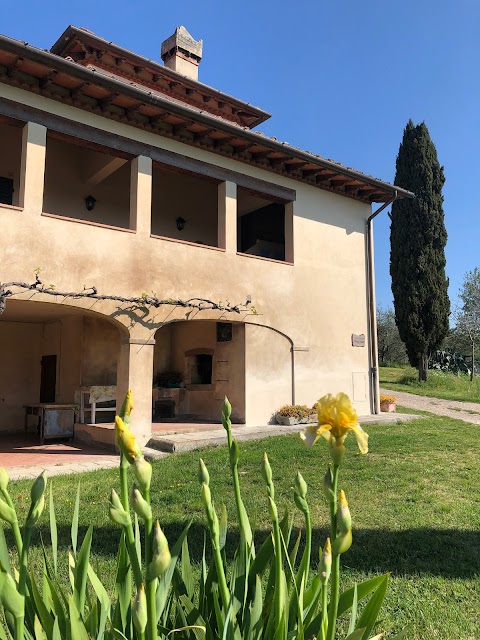 Agriturismo Fontepetrini Di Vittorio Rogantini