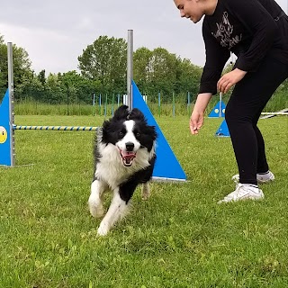 SMILING DOG PADOVA ASD - Centro Cinofilo