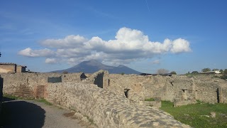Pompei Guide by Antonio Somma & Co.