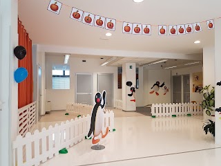 Pingu's English Treviso